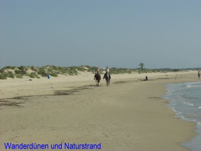 Homepage-Bilder9_400 Homepage-Bilder9_400