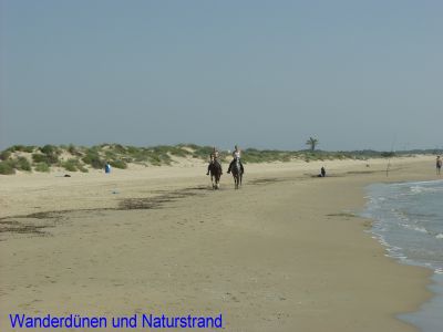 Homepage-Bilder9_400